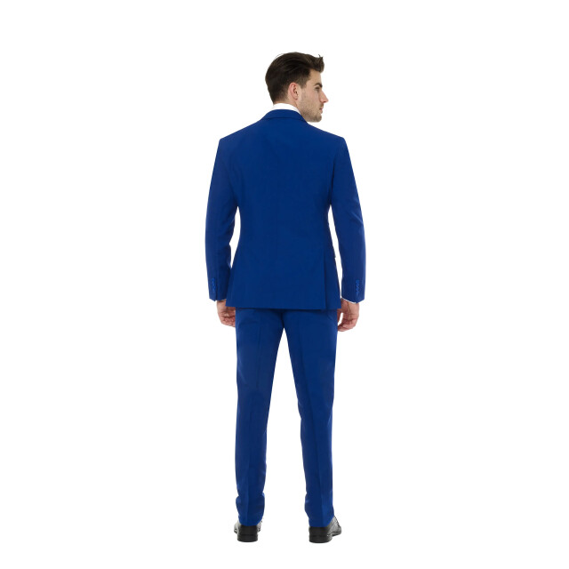 OppoSuits Royale flaminguy lining OSUI-0088 large