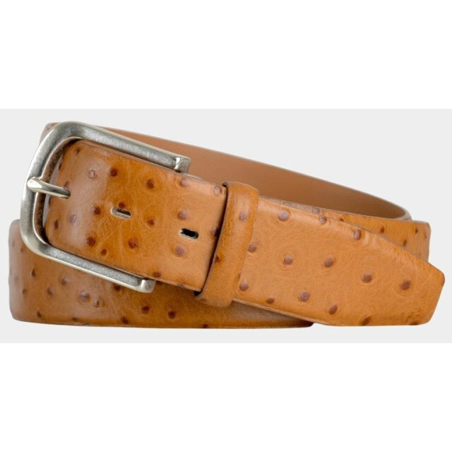 Profuomo Riem ppmr10014/ 125980 large