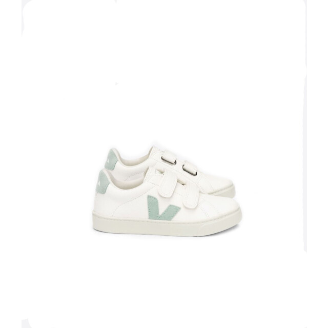 Veja Sneakers jr SV0502477C large