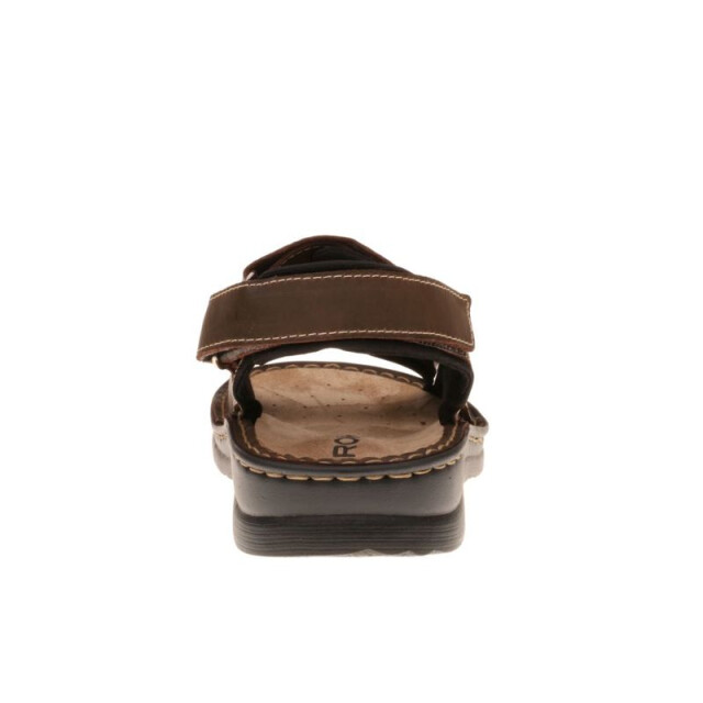 Rohde 5888 5888 large