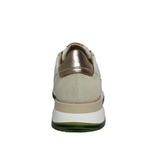 DL Sport 5646 5646 large