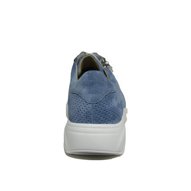 Solidus 66017 66017 Kea large