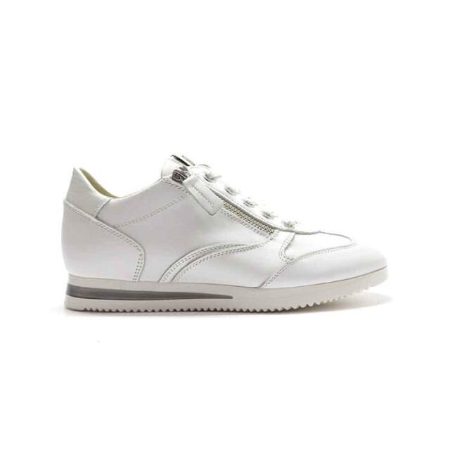 DL Sport 5238 5238 large