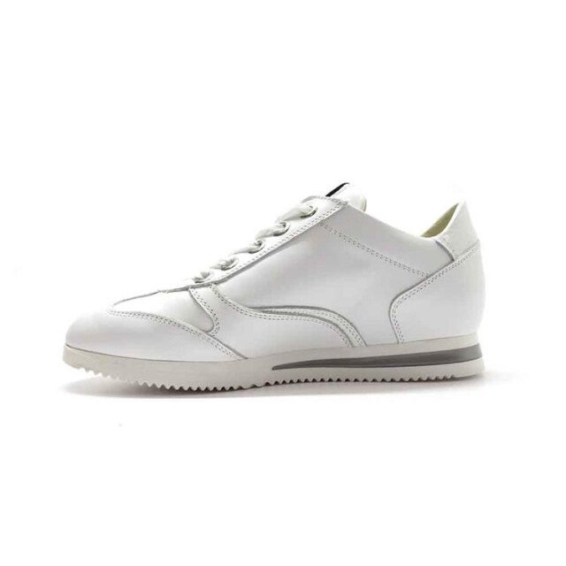DL Sport 5238 5238 large