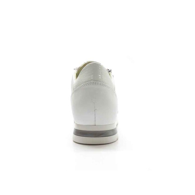 DL Sport 5238 5238 large