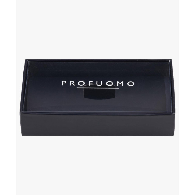 Profuomo Pp5v00001  PP5V00001  large