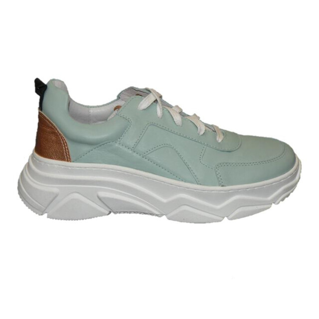 Piedro 1117615710 5911-wijdte-35 1117615710_5911-wijdte-35 large