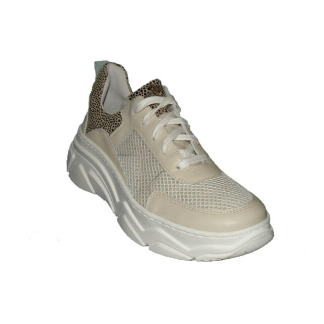 Piedro 1117615710 1117615710 large