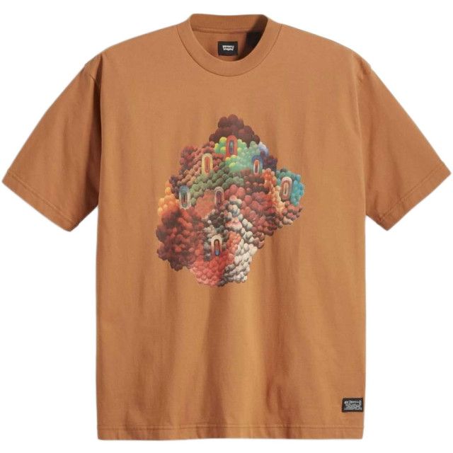 Levi's Skate graphic box tee multicolor brown A1005-012-50 large