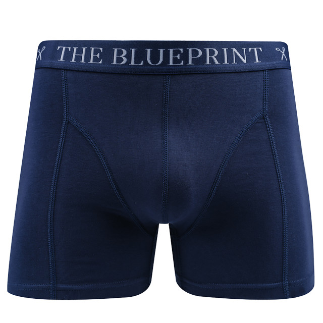 The Blueprint boxershort 086551-002-M large