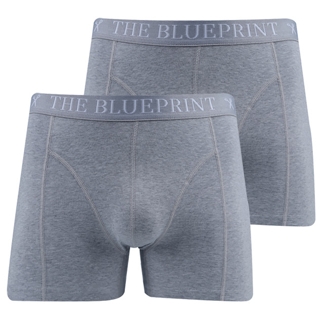 The Blueprint boxershort 086551-003-M large