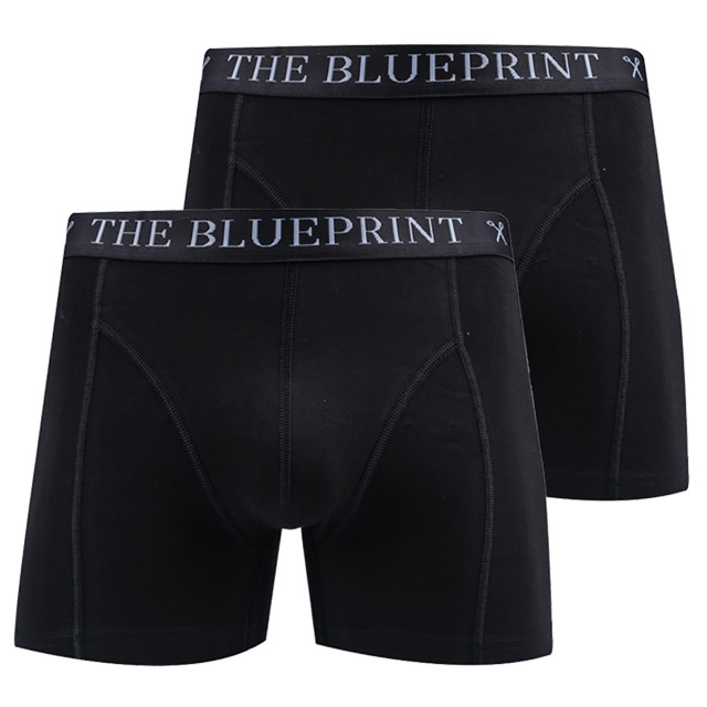 The Blueprint Boxershort 2-pack 061922-001-M large