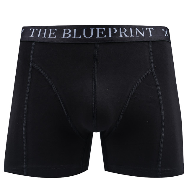 The Blueprint Boxershort 2-pack 061922-001-M large