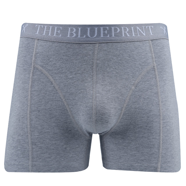 The Blueprint boxershort 086551-003-M large