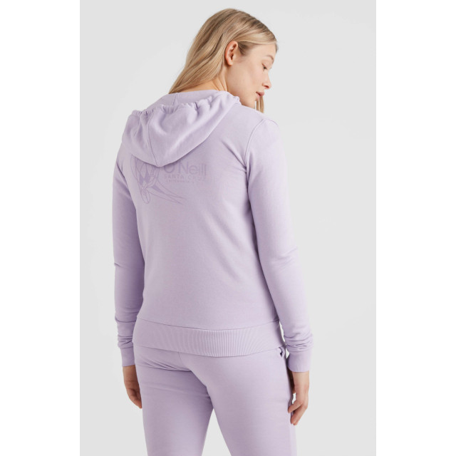 O'Neill circle surfer fz hoodie - 061306_615-S large