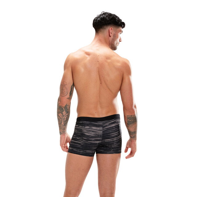 Speedo Eco valmilton aqsh bla/gre 003031-1749 SPEEDO eco valmilton aqsh bla/gre 003031-15749 large