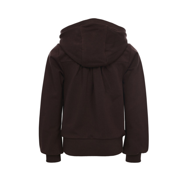 Looxs Revolution Oversized long sweater brown voor meisjes in de kleur 2331-5304-420 large