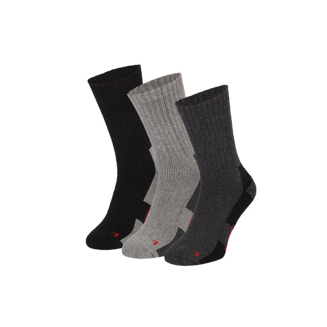 Apollo Dames / heren thermo sokken unisex 3-pack 000125925001 large