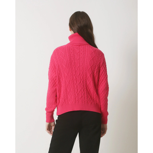 Smashed Lemon 23846 roze turtle neck top 23846-445-XXL large