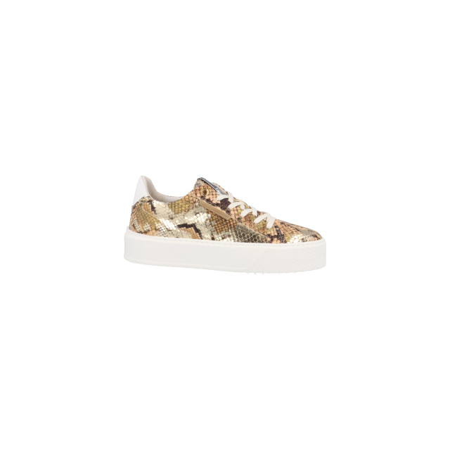 Floris van Bommel sfw-10106-91-01 Sneakers Goud sfw-10106-91-01 large