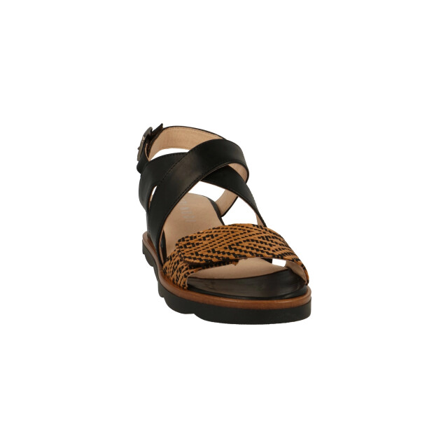 Piedi Nudi C2392 Sandalen Zwart C2392 large