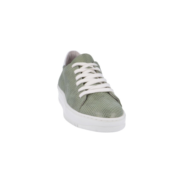 Piedi Nudi 898104 Sneakers Groen 898104 large