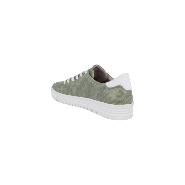 Piedi Nudi 898104 Sneakers Groen 898104 large