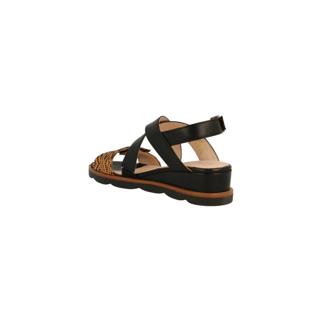 Piedi Nudi C2392 Sandalen Zwart C2392 large