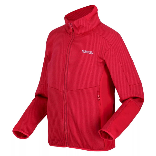 Regatta Childrens/kids highton iii full zip fleece jacket UTRG8161_berrypinkpinkpotion large