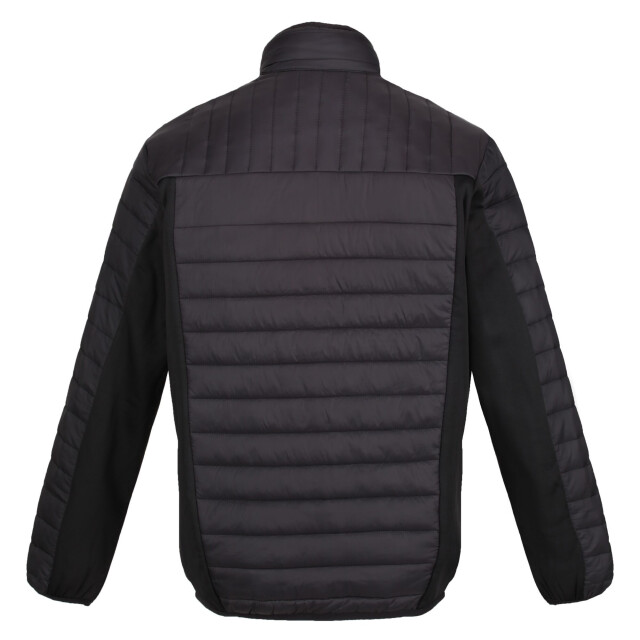 Regatta Heren hybride jas UTRG6354_black large