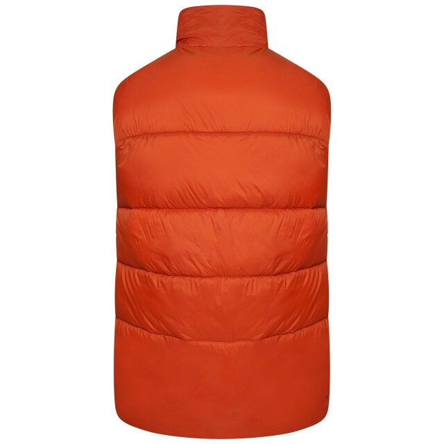 Dare2b Heren jermaine jenas mentor gewatteerd gilet UTRG8631_burntbrick large