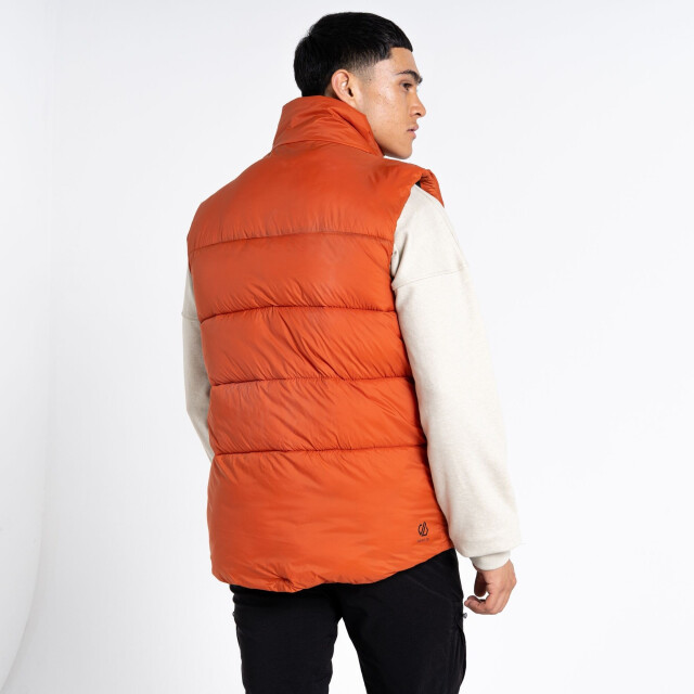 Dare2b Heren jermaine jenas mentor gewatteerd gilet UTRG8631_burntbrick large