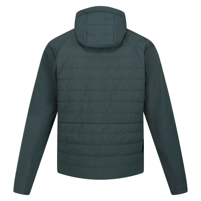 Regatta Heren daxford full zip jacket UTRG8368_greengables large