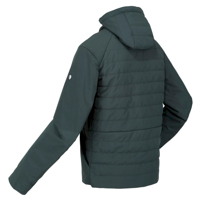 Regatta Heren daxford full zip jacket UTRG8368_greengables large