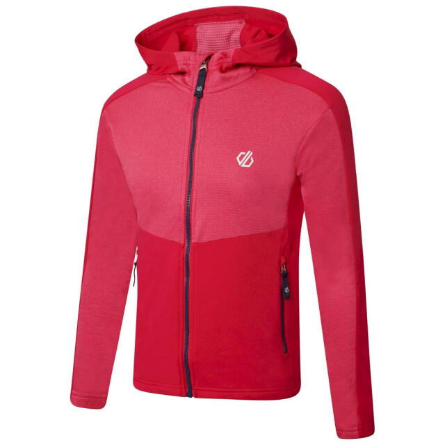 Dare2b Childrens/kids hastily core stretch gerecycleerde midlayer UTRG7165_vallartablue large