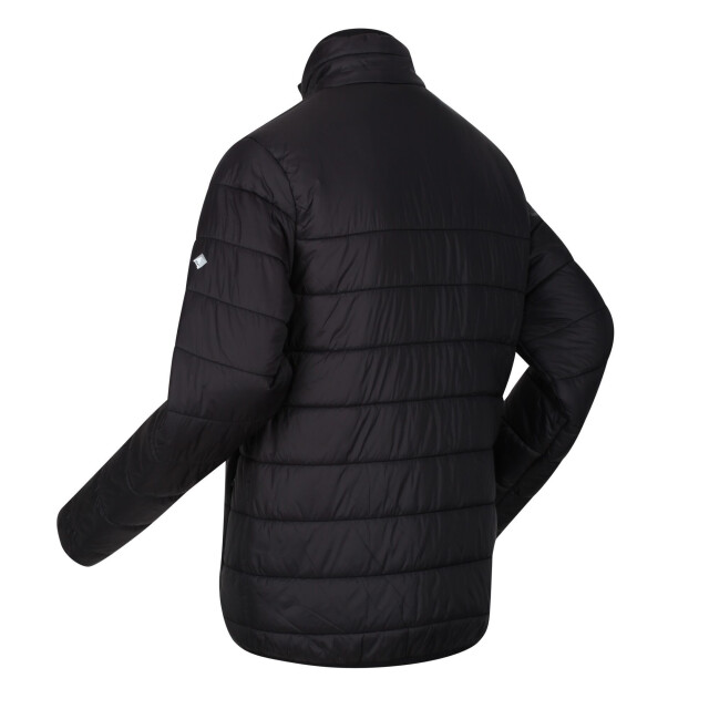 Regatta Heren freezeway iii gewatteerd jasje UTRG6123_black large