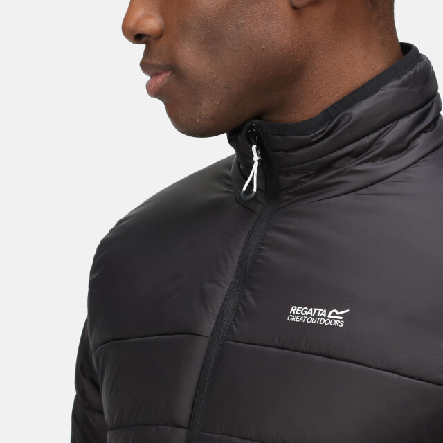 Regatta Heren freezeway iii gewatteerd jasje UTRG6123_black large