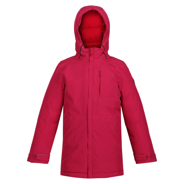 Regatta Kinder/kinder yewbank geïsoleerde jas UTRG8062_berrypink large