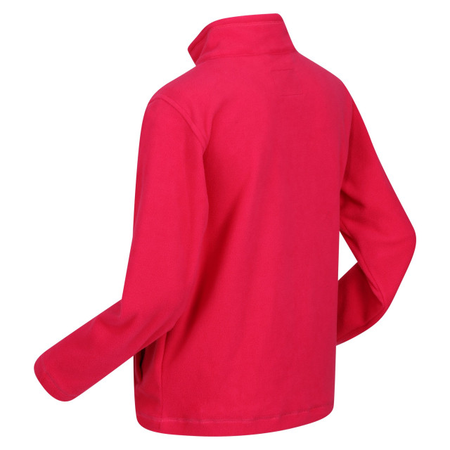 Regatta Groot buitenshuis kinderen/kinderen king ii lichtgewicht full zip fleece jasje UTRG565_pinkpotion large