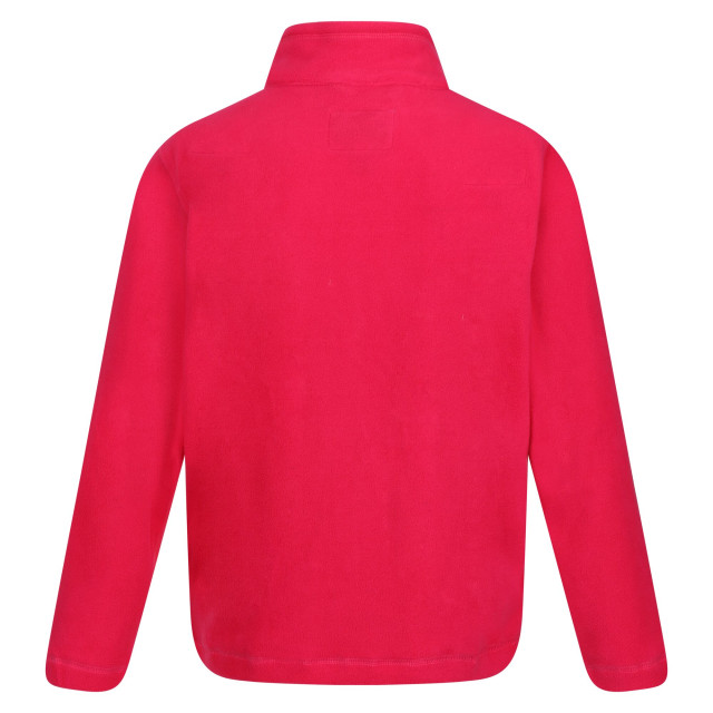 Regatta Groot buitenshuis kinderen/kinderen king ii lichtgewicht full zip fleece jasje UTRG565_pinkpotion large