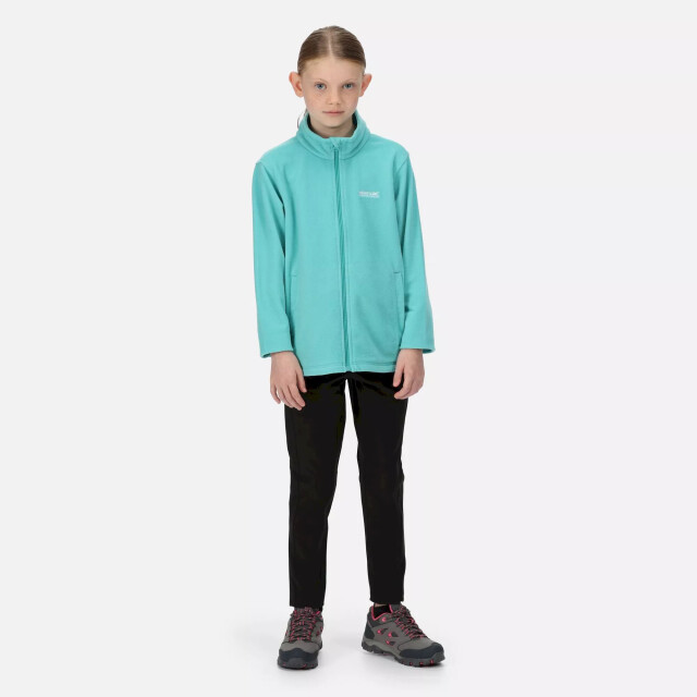 Regatta Groot buitenshuis kinderen/kinderen king ii lichtgewicht full zip fleece jasje UTRG565_turquoise large