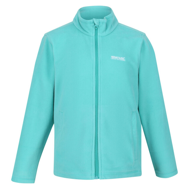 Regatta Groot buitenshuis kinderen/kinderen king ii lichtgewicht full zip fleece jasje UTRG565_turquoise large