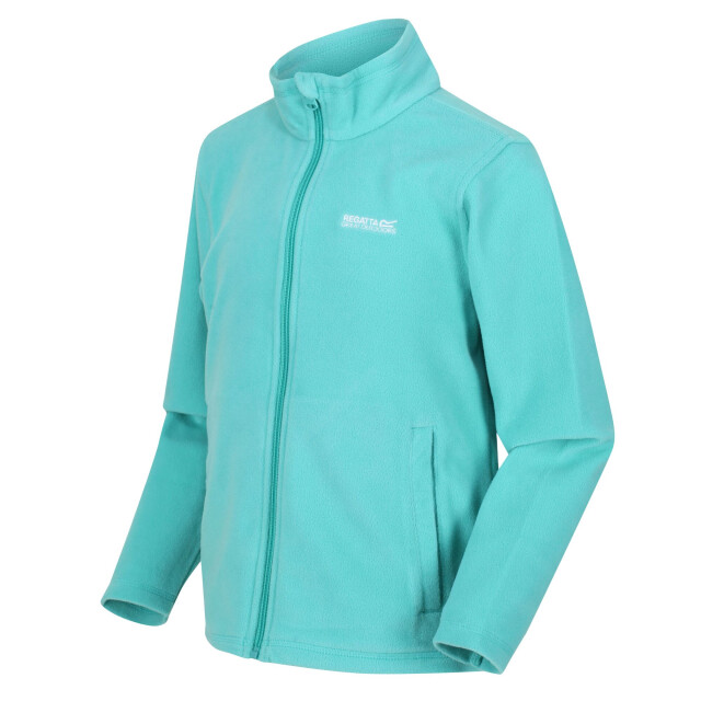 Regatta Groot buitenshuis kinderen/kinderen king ii lichtgewicht full zip fleece jasje UTRG565_turquoise large