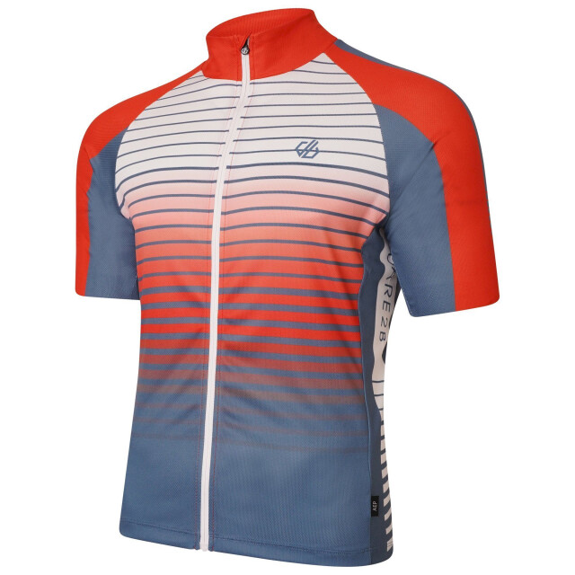 Dare2b Heren virtuous aep wielertrui UTRG7233_stellarblue large