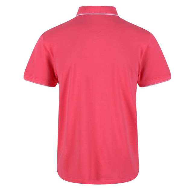 Regatta Heren tadeo polo shirt UTRG7226_tropicalpink large