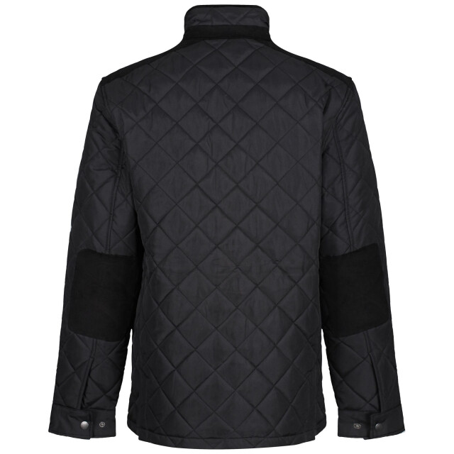 Regatta Padbury gewatteerd herenjack UTRG7156_black large