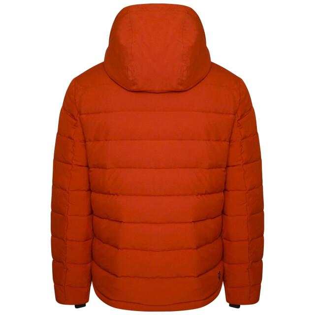 Dare2b Heren endless iii gewatteerde jas UTRG8002_burntbrick large