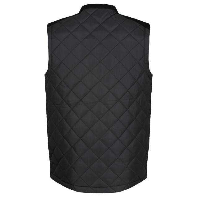 Regatta Heren moreton gewatteerde bodywarmer UTRG6947_black large