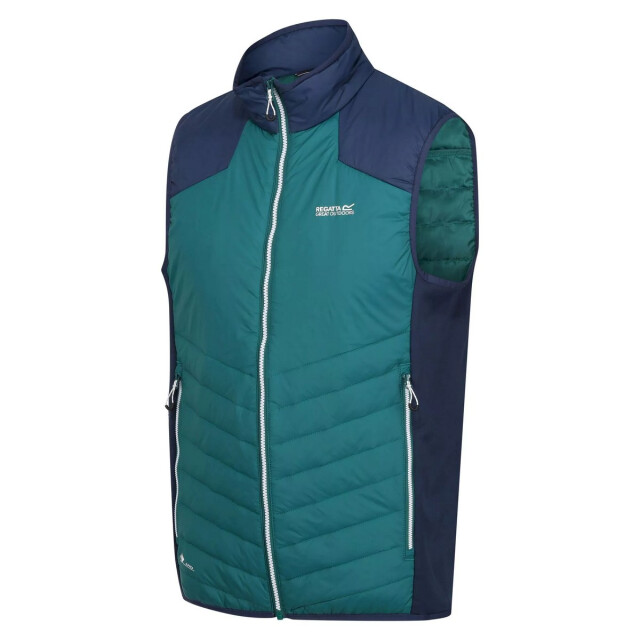 Regatta Heren halton vi lichtgewicht body warmer UTRG8317_pacificgreenadmiralblue large