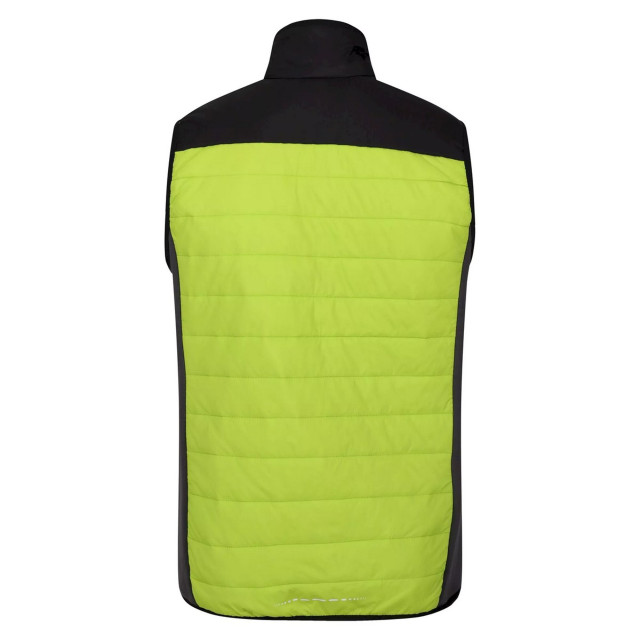 Regatta Heren halton vi lichtgewicht body warmer UTRG8317_brightkiwibrightkiwiblack large